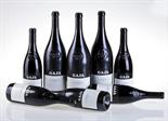 ? Barbaresco 2005, Gaja Langhe WS 92/100, SF 92/100 (5 bts) (3 Mag), confezione originale in