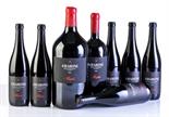 ? Amarone della Valpolicella Classico 2000, Allegrini Valpolicella WS 92/100, JS 92/100, SF 93/