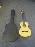 6 string guitar, with hard case by Alegre, model Luthier,