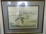 Pair of framed limited edition coloured prints of Ducks in Flight, each print 24 x 20 signed in