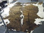 Full size brown and beige Cow Skin rug approx 8` long 8` wide