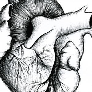 Uploads%2fillustrations%2fthumbsuploads%2f1415805551296 paysw6tlkzzrggb9 3fcb94957a6a672a9ed2384e985fcced%2finktoberheart thumb