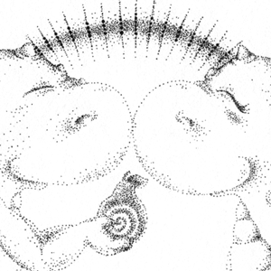 Uploads%2fillustrations%2fthumbsuploads%2f1429021986812 ru42711xzv45nrk9 b4d8369f8628b9f43886881e0ab7f745%2fsindymalygkiss01 thumb