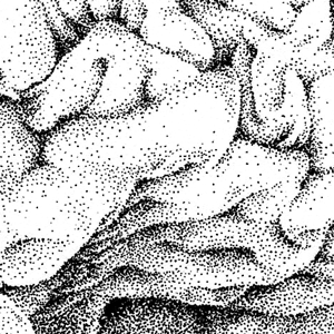 Uploads%2fillustrations%2fthumbsuploads%2f1452763349799 0pnxs4g2f6amj9k9 49e8320638aec6b5ab9823ce5861356f%2fbrain01 thumb
