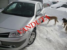 REN02040 – Renault Megane la 9.169 EUR (vândut)