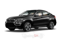 BMW17667 – BMW X6 la 53.999 EUR (vândut)