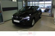 SKO30003 – Skoda Karoq la 39.055 EUR
