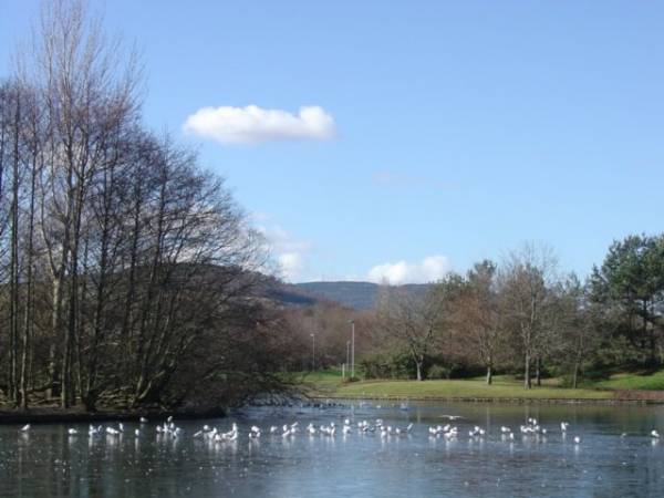 Image of Here you'll find a wide selection of walks suitable for young or older family members.  Some walks have activities along the way to keep the younger members interested.