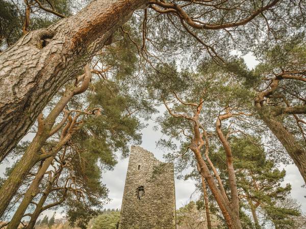 Image of John Buchan (1875-1940) was born in Perth and spent his childhood holidays at his grandparents’ house in Tweeddale, in the South of Scotland. This area had no small impact on Buchan – indeed, in 1935, after his election to the House of Lords, he took the name Lord Tweedsmuir. 

He was a prolific author, writing 130 books in total and contributing to a further 150, as well as producing essays, poems, articles, reviews, and journalism. His most famous works featured the character Richard Hannay, e.g. ‘The Thirty-Nine Steps’. 

Despite an international reputation and a life spent travelling Africa, Europe and North America, Buchan remained devotedly attached to Scotland. In his poem 'The South Countrie', as well as in many other works, he goes further, preferring the South of Scotland to every other part of Scotland. 

Don't forget to:
Check walk the John Buchan Way from Peebles to Broughton.
Or to visit Dumfries and Galloway - stay at Knockinaam Lodge where Buchan was a guest. The stream that runs past the lodge was the inspiration for the House that Hannay fled to away from the police in 'The 39 Steps'. 
Buchan explored Galloway and spent a lot of time cycling, covering 65 miles of the hills in 24 hours in 1897. Three novels (Dickson McCumm trilogy) and 1 short story are Galloway set. In Buchan's landscape "Portaway" is Newton Stewart, "Gledmouth" is Dumfries, "Castle Gay" is the Castle of Old Risk and "Fallatown" is Wigtown, as well as the district of Carrick in Galloway where the action for 'Huntertower' took place.
