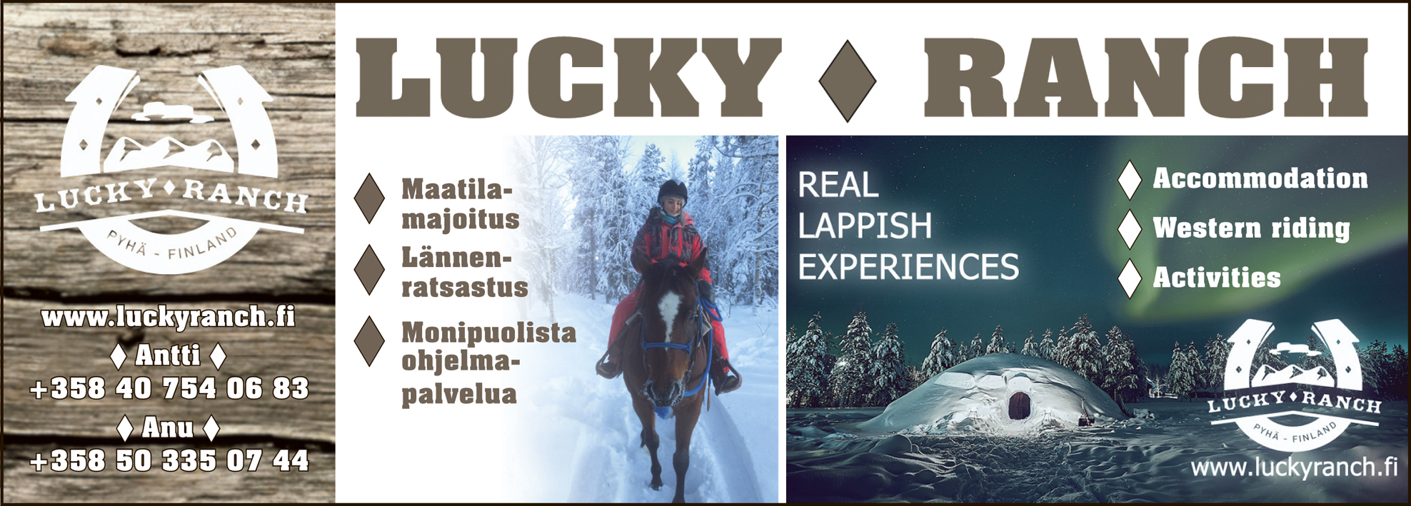 Lucky ranch horse ranch