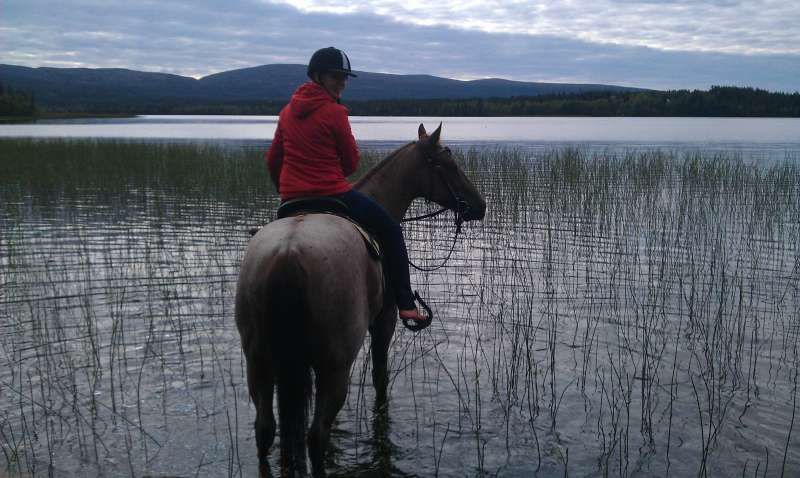 lucky ranch lucky ranch luosto lucky ranch lucky ranch luosto