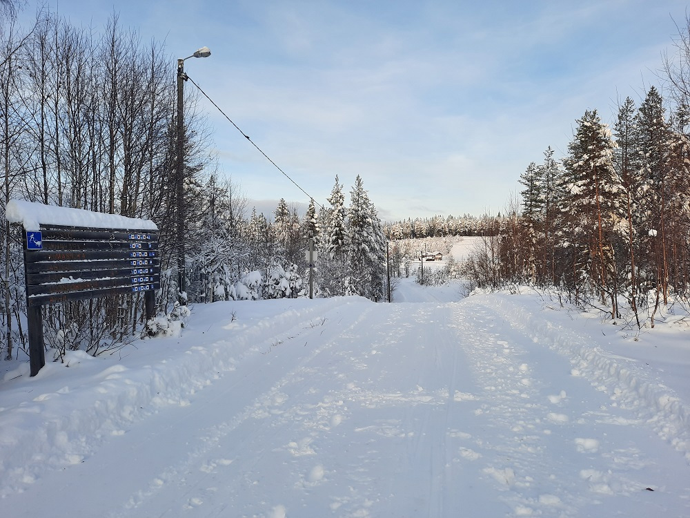 Kuva Pyhän valaistulta ladulta 19.10.2020