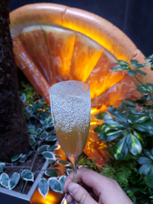 Secret Garden at South Place Hotel