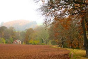 welsh-field