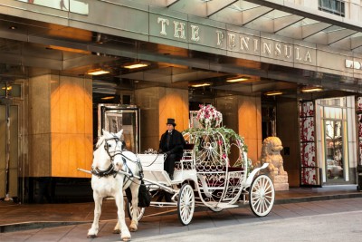 Peninsula Chicago horse and carriage