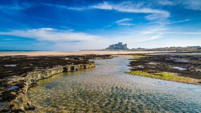 northumberland coast