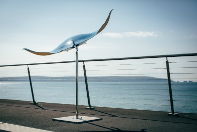 Andy Baerselman manta ray