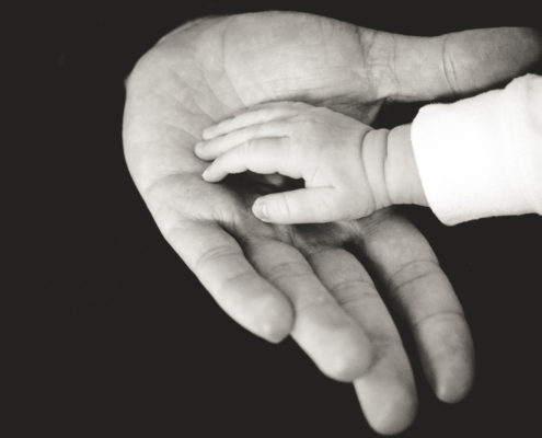 Elegimos a Nuestros Padres