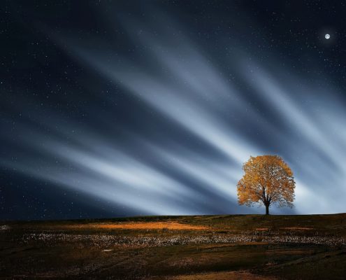 predecir futuro