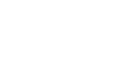 aug rifle