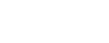 bizon rifle