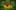 Amelie-1600x1000 Amelie-1600x1000