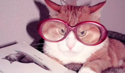 10 livres qui donnent des claques