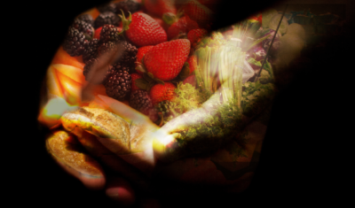 Fungi, Bikes, 3D printing and Compost – Interview with Food entrepreneurs