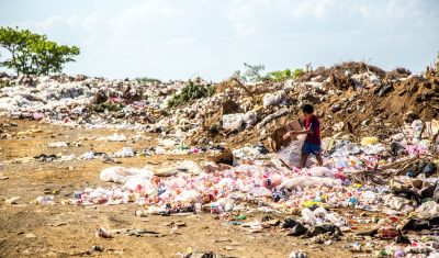 Wasteless Journeys : Four Challenges for Tourism and Many Actions