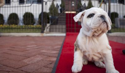 How to tackle single-use carpet waste in events?
