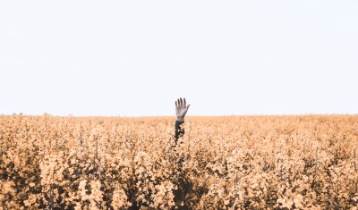Un job de sens… Mais quel sens ?