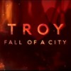 Troy Fan Art brand