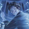 Magical Worlds With Harry Potter brand