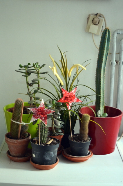 Mi rincón favorito Mi rincón favorito
