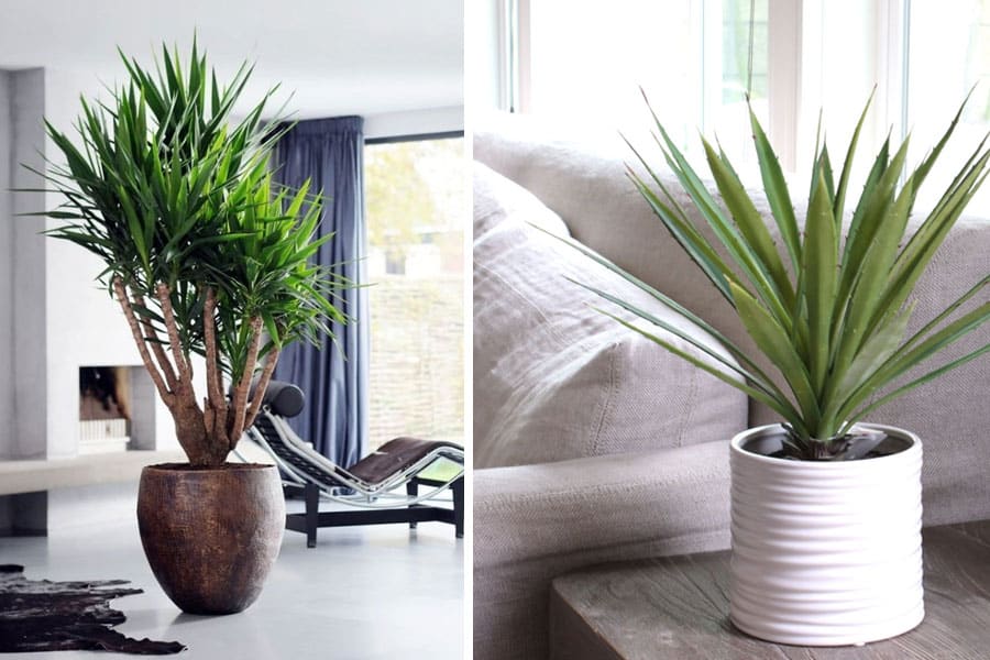 upload/articles/*x*_34ulfv7oFtLQwRzNfkHi.jpg - manalonline.com - منال العالم