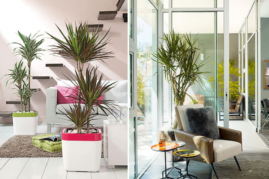 upload/articles/*x*_SfBDpcV5KNCQwEGUTvAn.jpg - manalonline.com - منال العالم