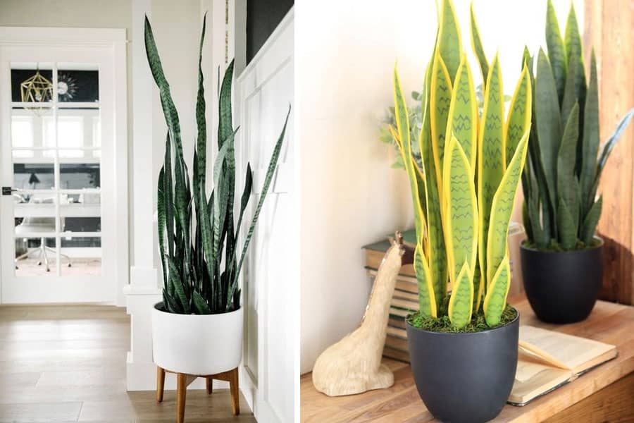 upload/articles/*x*_kTIdPEVcqml8JHZr2vXB.jpg - manalonline.com - منال العالم