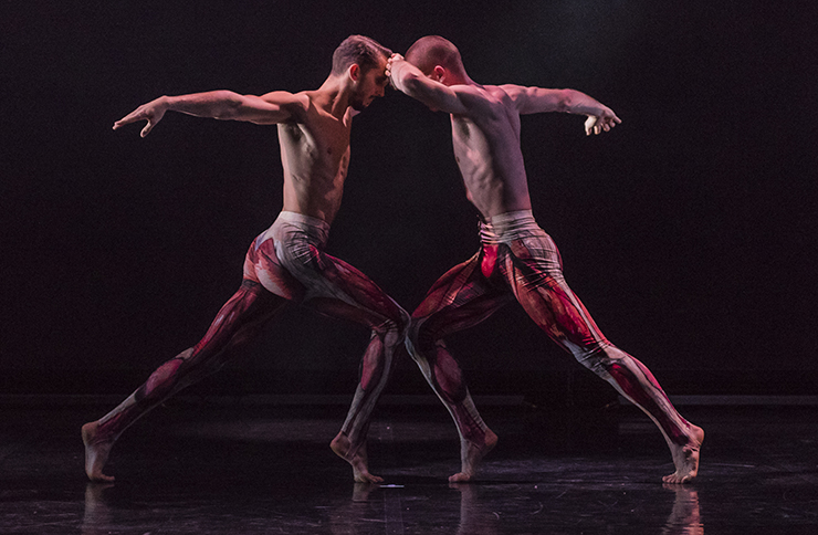 Ballet Boyz show Ballet Boyz show