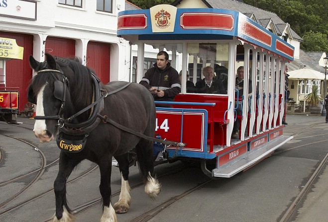 海外紙物 イギリス Horse trams チケット １０冊まるごと - www