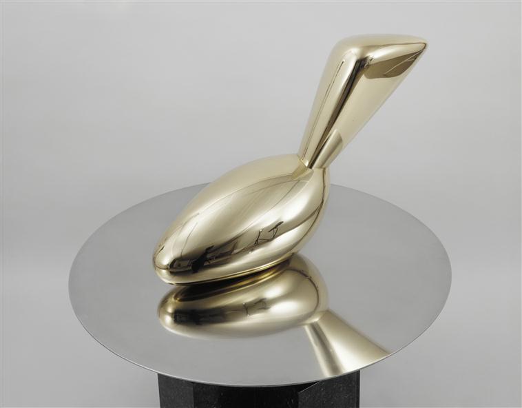 Brancusi LEDA