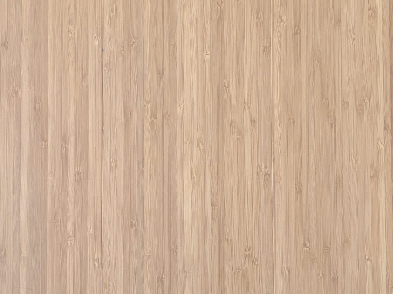 Bamboe