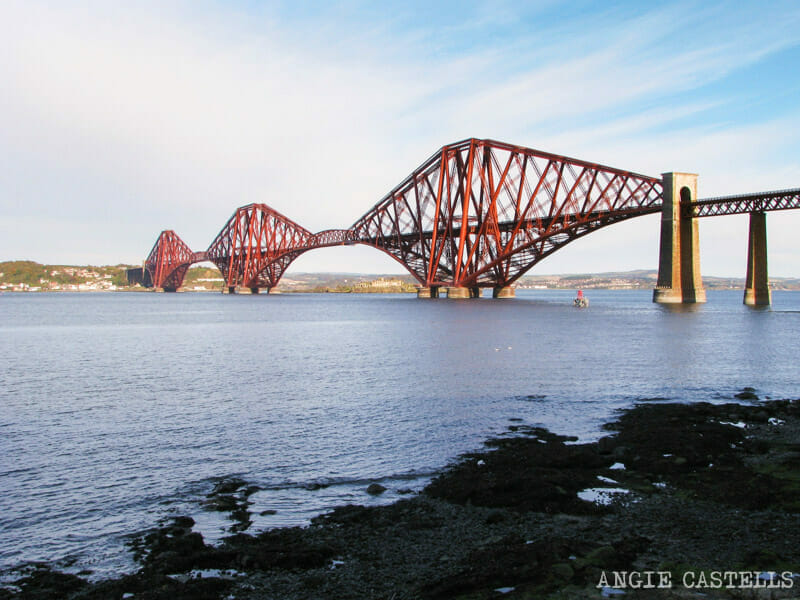Visitar Inchcolm Island desde Edimburgo excursion 800-2