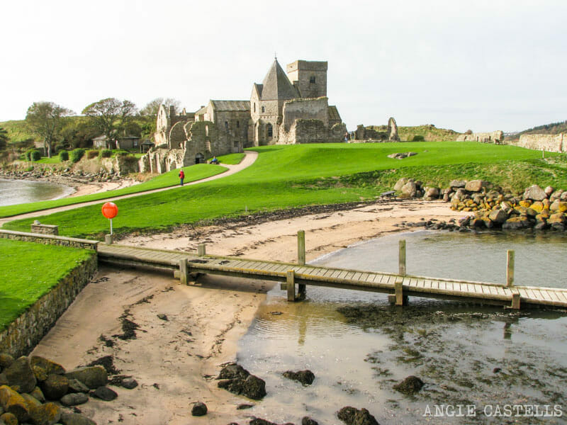 Visitar Inchcolm Island desde Edimburgo excursion