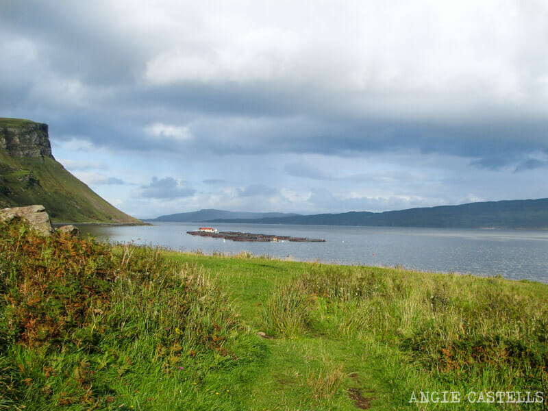 Paisajes de la isla de Skye Visitar Portree, en la Isla de Skye - Excursión por Portree