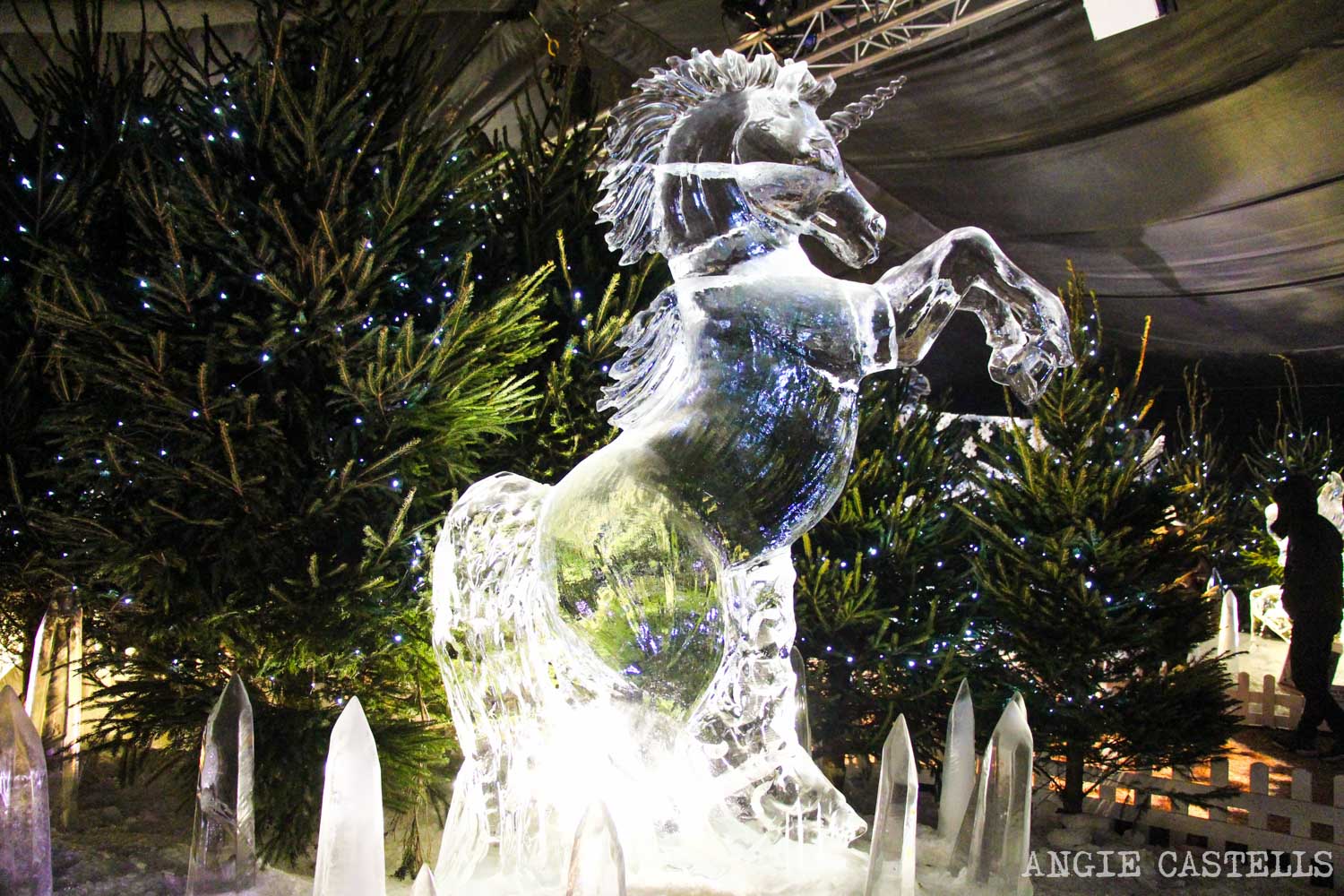 Cuál Es El Animal Nacional De Escocia