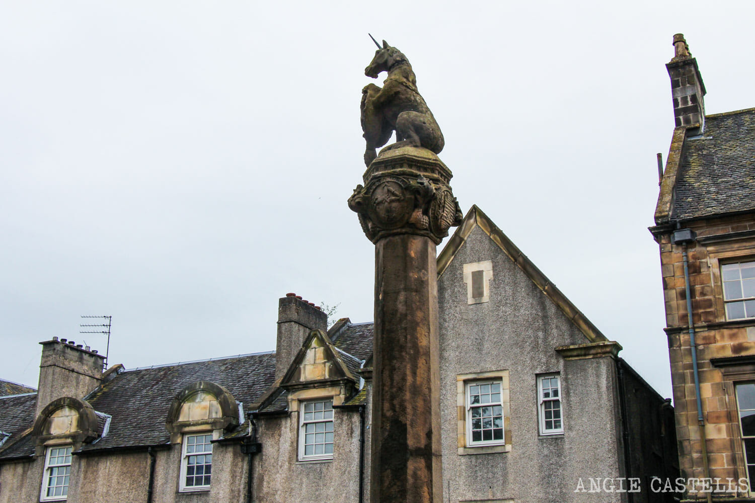 Cuál Es El Animal Nacional De Escocia masedimburgo.com