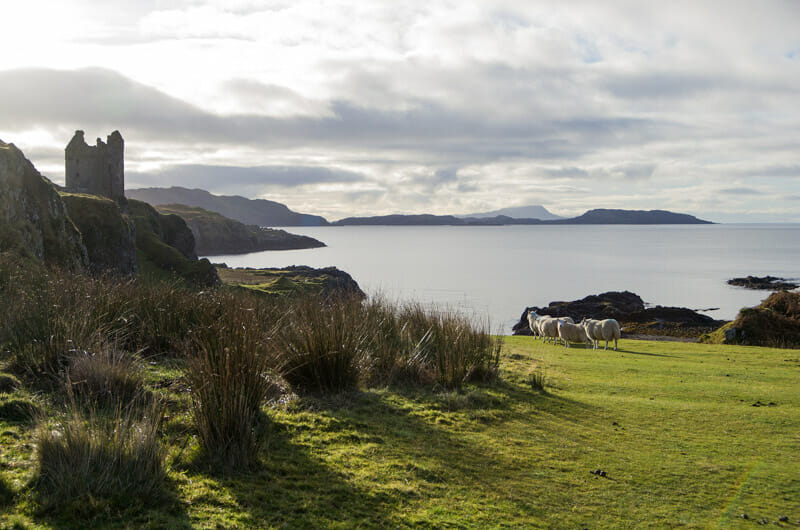 Qué hacer en Oban - Visitar la isla de Kerrera