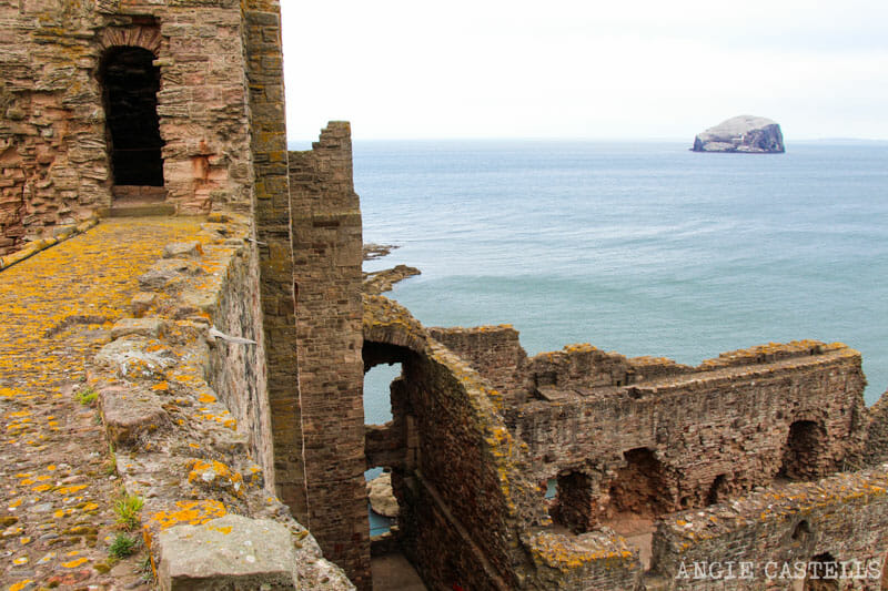 Qué hacer en Edimburgo con niños - Tantallon Castle, North Berwick