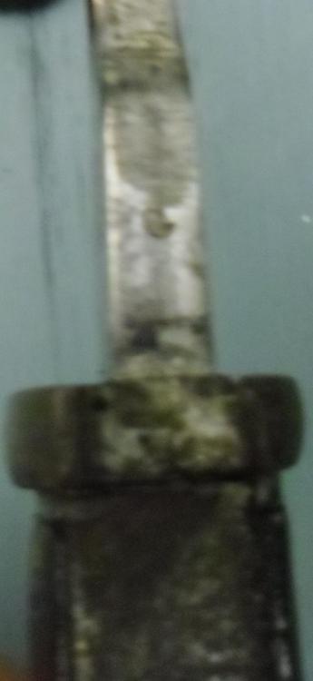 CIMG0972.JPG