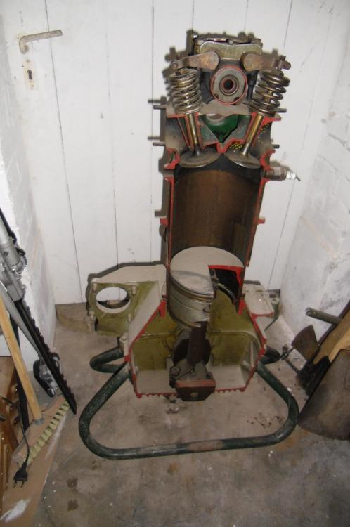 CIMG0977.JPG